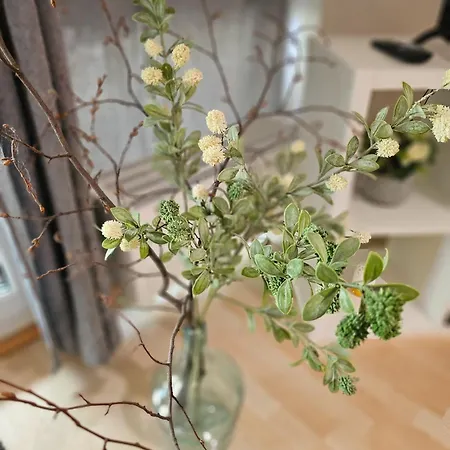 Ulmer Nestchen 公寓 乌尔姆