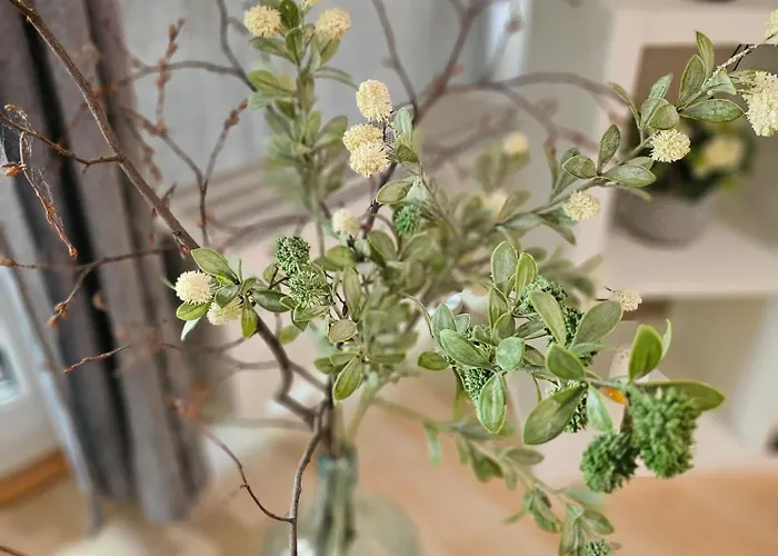 Ulmer Nestchen 公寓 乌尔姆